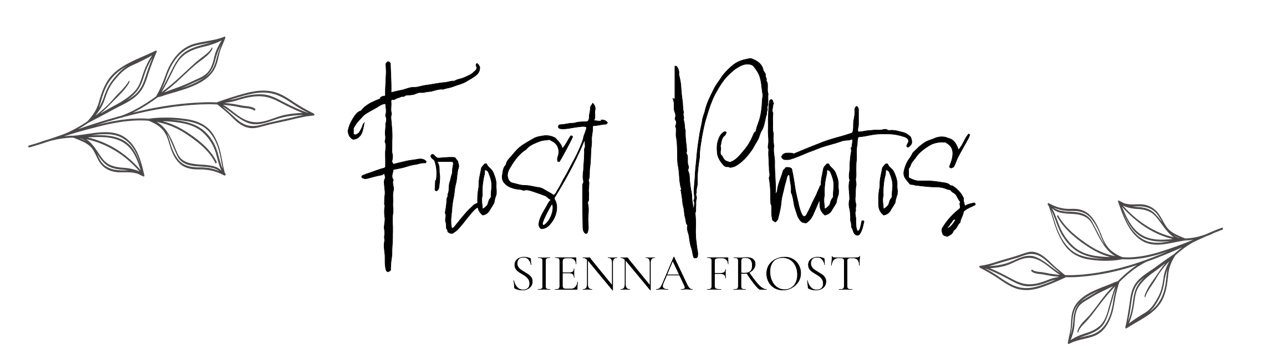 Default alt text for Sienna Frost Logo