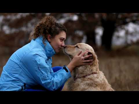 Default alt text for hqdefault